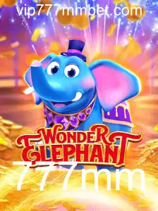 WonderElephant: Uma Jornada Incrível Através do Mundo de Fantasia